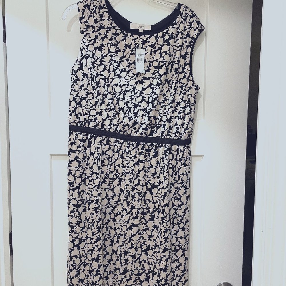 Ann Taylor Loft Floral Dress Size Large Black and Cream